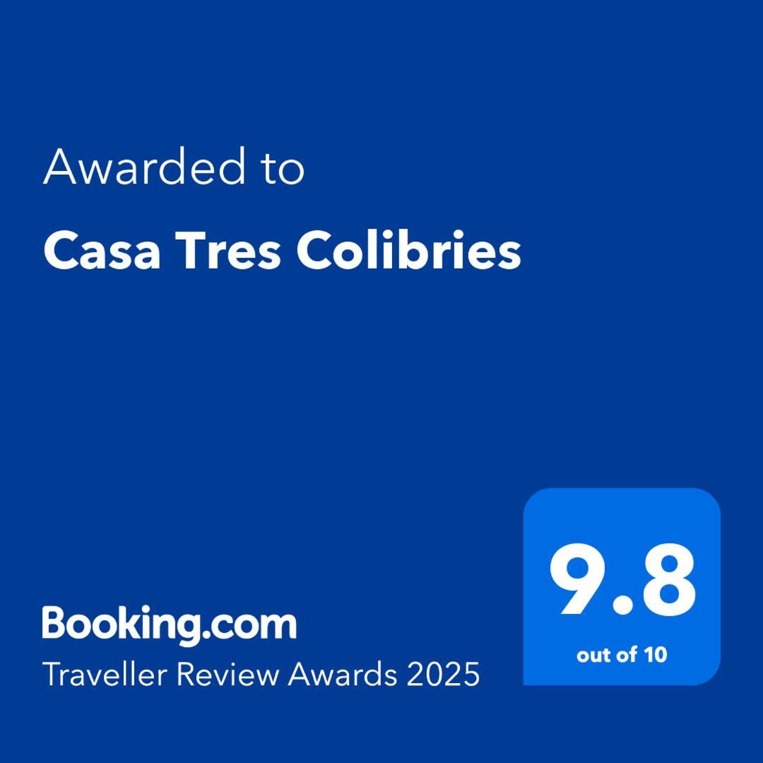 Bed and Breakfast Casa Tres Colibries Мерида Экстерьер фото